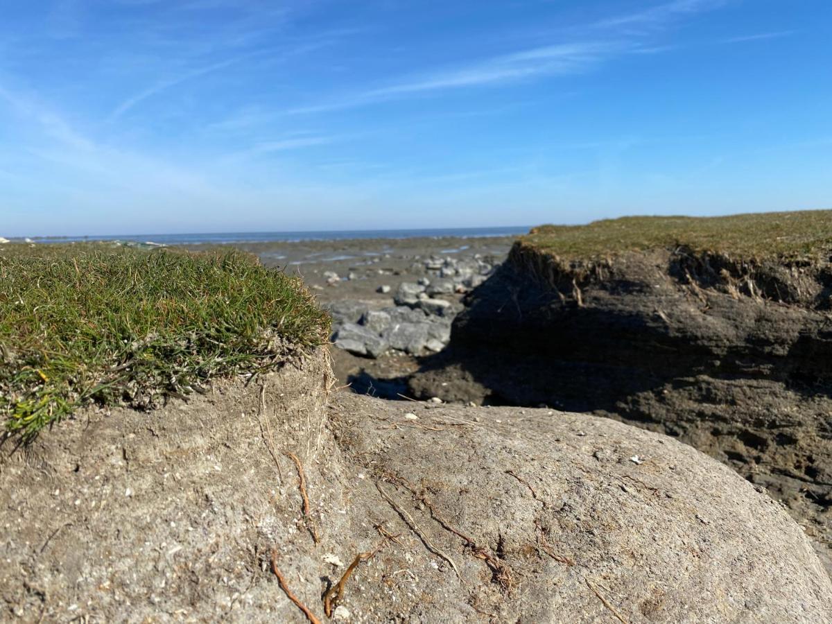 Wierums Huske Aan De Waddenzee Unesco Werelderfgoed Exterior foto
