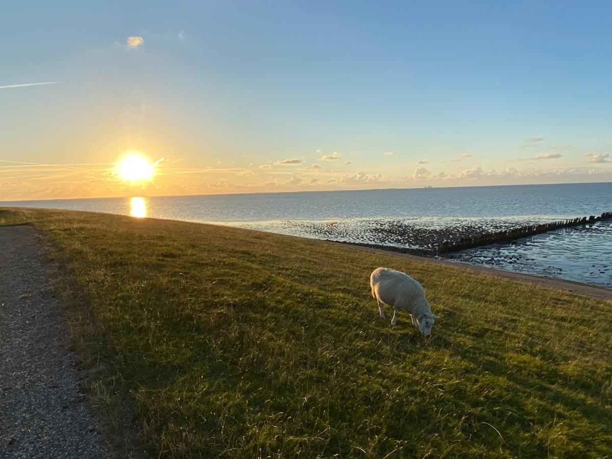 Wierums Huske Aan De Waddenzee Unesco Werelderfgoed Exterior foto