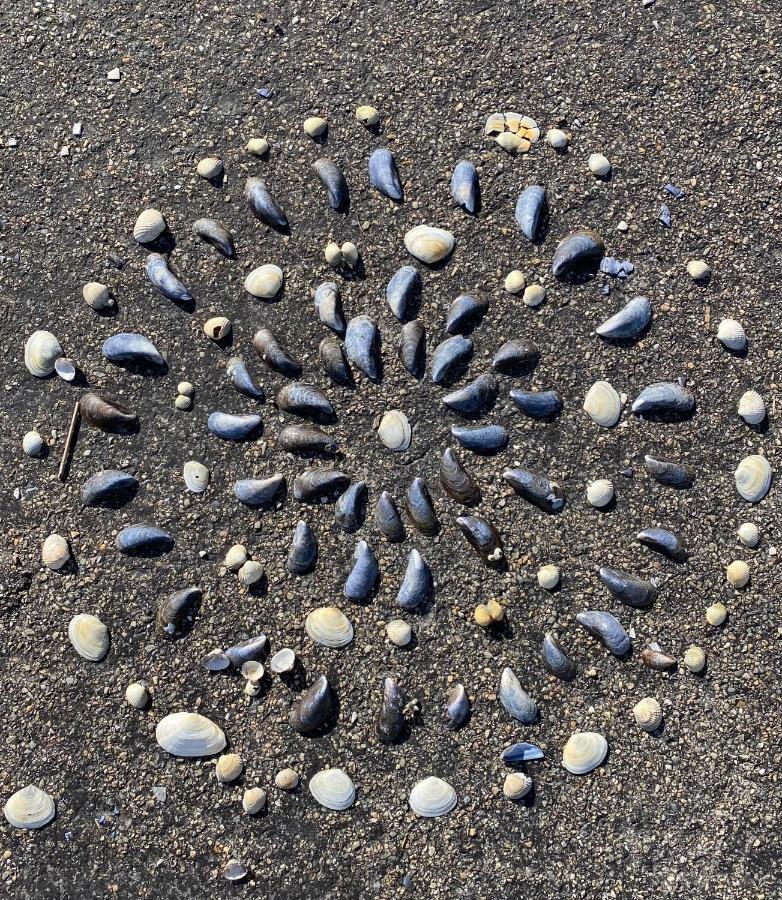 Wierums Huske Aan De Waddenzee Unesco Werelderfgoed Exterior foto
